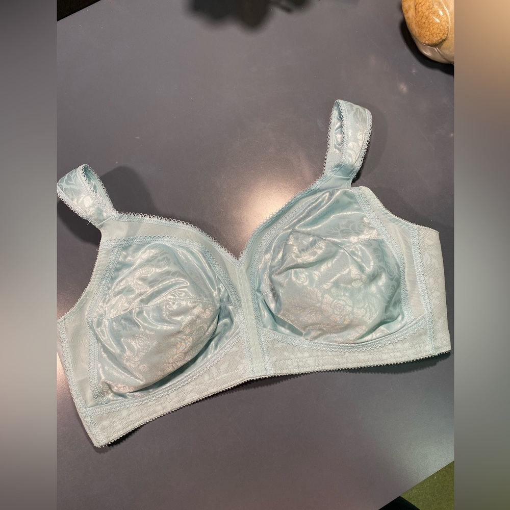 Playtex Bra